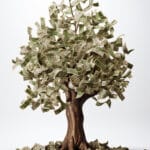 CAPÍTULO 10 –              PERENE